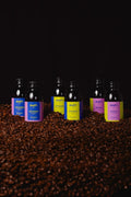 Cold Brew King - Mini